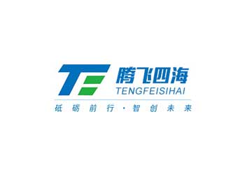深圳腾飞四海科技网站建设案例